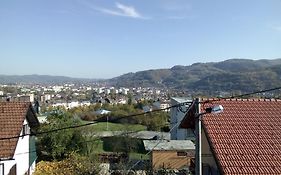 Apartmani 